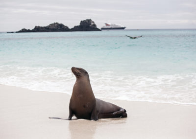 Rabida Island Galapagos