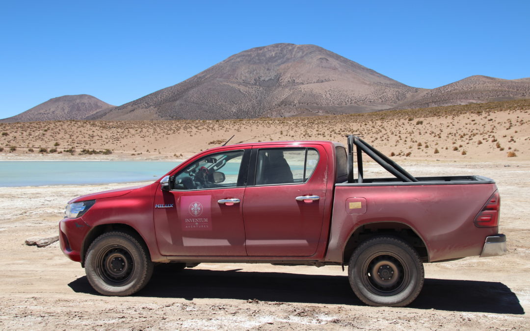 Salar de Surire entre UNESCO et Ramsar Wetlands, un vrai trésor